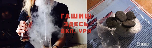 твердый Заводоуковск